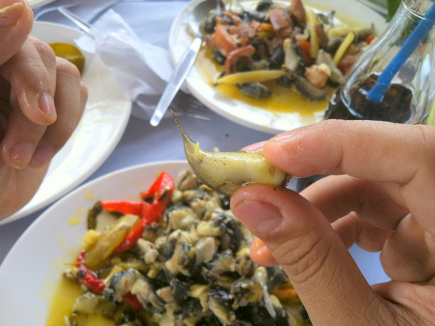 Cadiz City’s first Buriring (Puffer fish) Festival! – The Bacolod Food ...