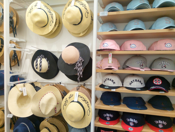 12-P_20170516_121217