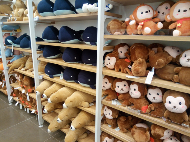 30-P_20170516_120817