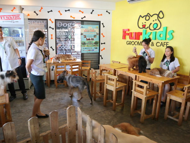 20180920013330_IMG_0264