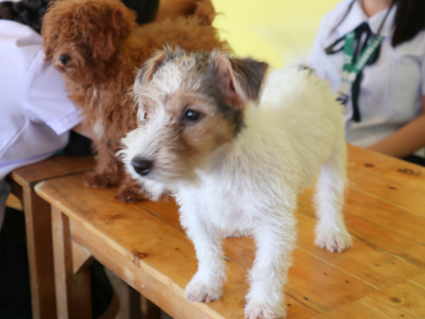 20180920013532_IMG_0269-001