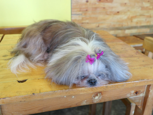 20180920013723_IMG_0278-001