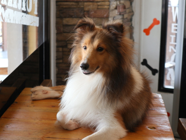 20180920015958_IMG_0313