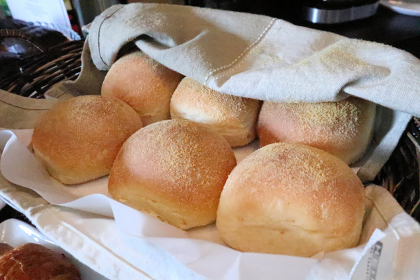 20190329221520_IMG_1023