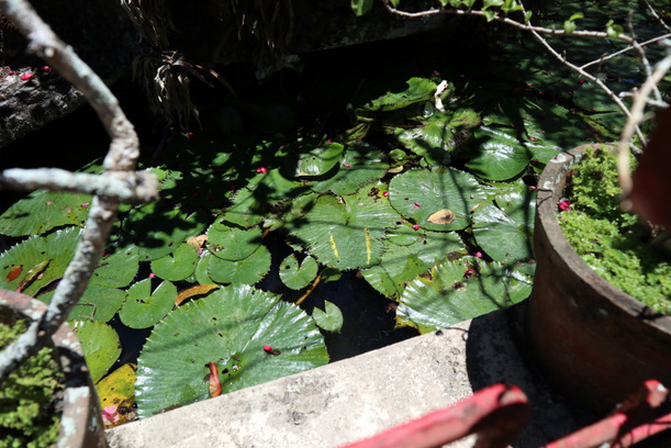 20190401230153_IMG_1053