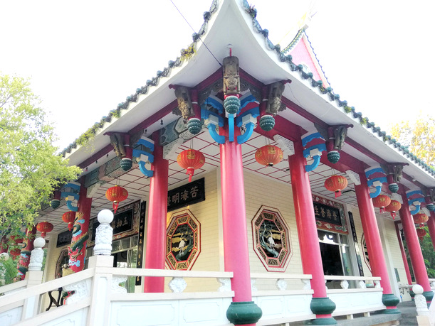 55575885_10157228515951255_779773603469066240_o