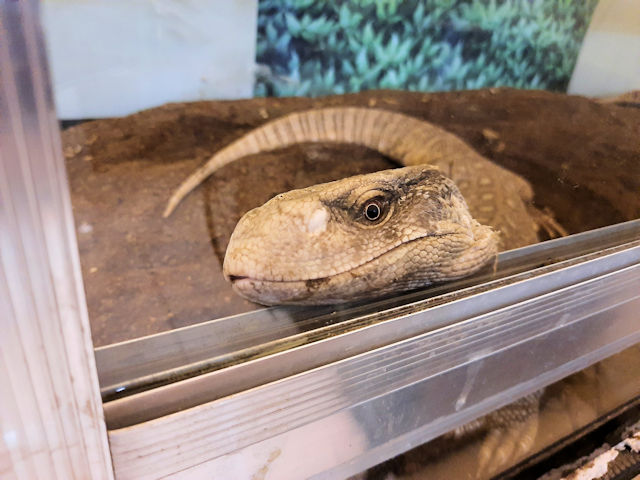 He's checking me out!